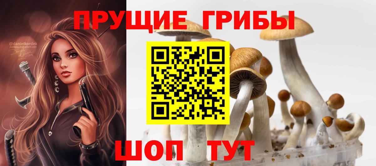 Галлюциногенные грибы мицелий Нерюнгри